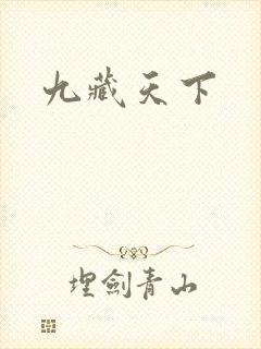 九藏天下封面