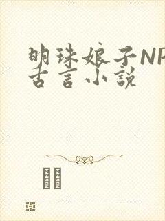 明珠娘子NPC古言小说