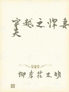 穿越之悍妻共三夫封面