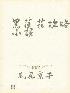 黑莲花攻略手册小说