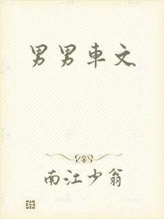男男车文封面
