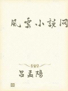 风云小说网