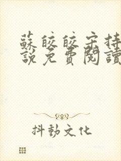 苏皎皎宋持的小说免费阅读封面