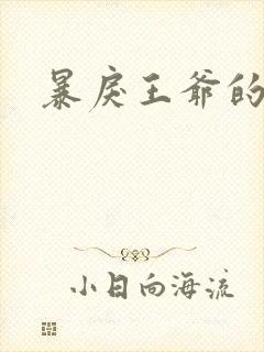 暴戾王爷的贱妾封面