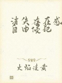 消失存在感消失自由侵犯