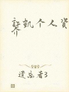 许凯个人资料简介