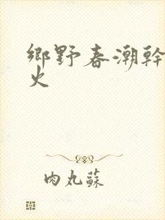 乡野春潮干柴烈火封面
