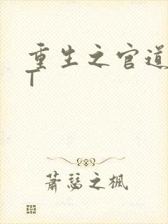 重生之官道TXT
