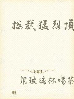 总裁猛烈顶弄h封面