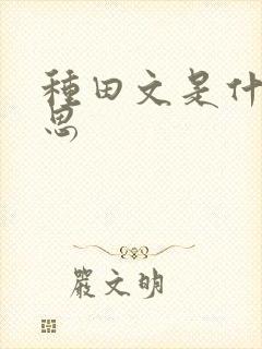 种田文是什么意思