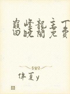 巅峰龙主丁长顺田晓兰免费阅读