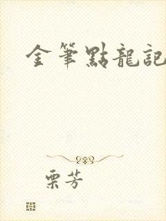 金笔点龙记封面