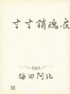 寸寸销魂夜春光