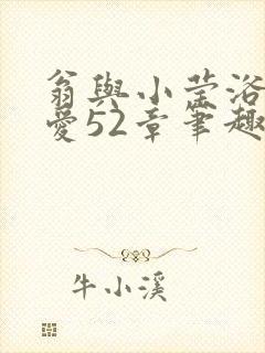 翁与小莹浴室欢爱52章笔趣阁封面