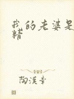 我的老婆是狐狸精