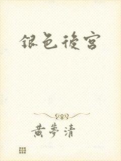 银色后宫封面