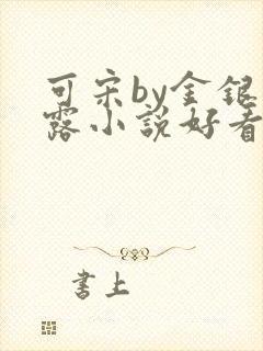可宋by金银花露小说好看吗