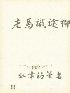 老马识途柳娇娇