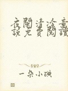 夜阑清冷意欢小说免费阅读