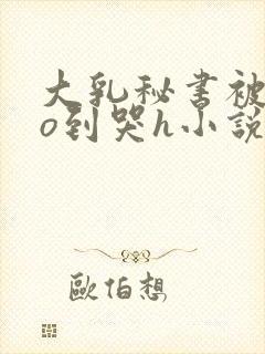 大乳秘书被cao到哭h小说封面