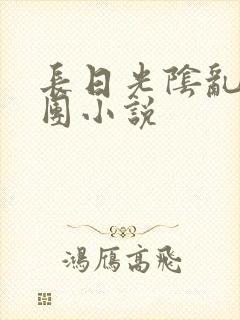 长日光阴乱作一团小说