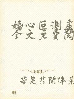 婚心叵测卢丹妮全文免费阅读小说封面