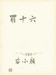 罗十六封面