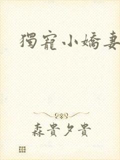 独宠小娇妻