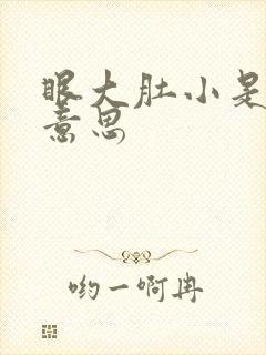 眼大肚小是什么意思