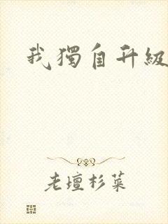 我独自升级漫画