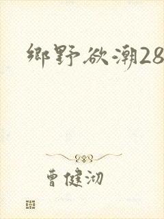 乡野欲潮28章