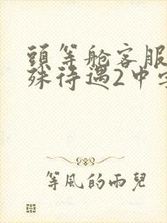 头等舱客服的特殊待遇2中字