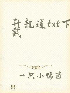 升龙道txt下载