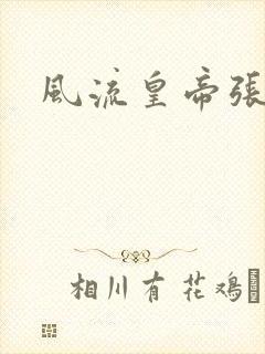 风流皇帝张无忌封面