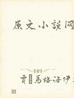 原文小说网