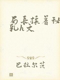 局长揉着秘书的乳h文