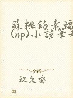 苏桃的幸福生活(np)小说笔趣阁沐沐