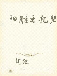 神雕之龙儿别传封面