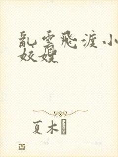 乱云飞渡小说之姣嫂