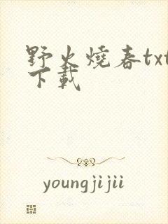 野火烧春txt下载封面