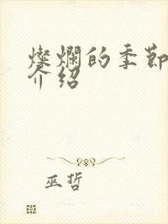 灿烂的季节剧情介绍封面