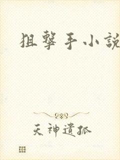 狙击手小说封面