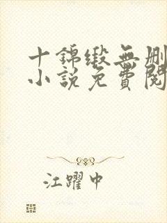 十锦缎无删原著小说免费阅读