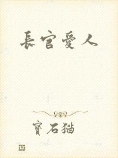 长官爱人封面