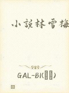 小说林雪梅