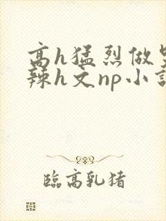 高h猛烈做哭高辣h文np小说封面