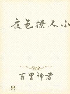 夜色撩人小说