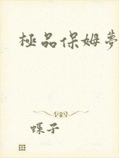 极品保姆梦梦封面