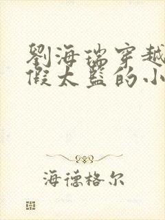 刘海瑞穿越后宫假太监的小说