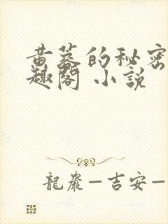 黄蓉的秘密 笔趣阁 小说封面